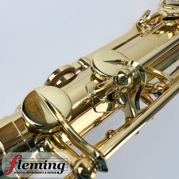 Selmer Paris 54 AXOS Professional Tenor Saxophone
