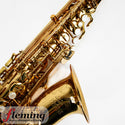 Antigua Winds ProOne AS-6200VLQ Alto Saxophone
