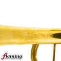 Edwards Generation II Bb Trumpet - Gold Plate (Custom Blackburn Setup)