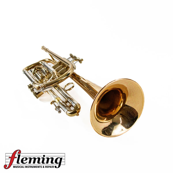 Bach Stradivarius 25G Cornet