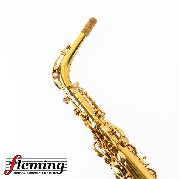 Eastman EAS850 Rue Saint-Georges Professional Alto Saxophone (Competition Demo / Open Box Model)