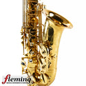 Eastman EAS850 Rue Saint-Georges Professional Alto Saxophone (Competition Demo / Open Box Model)