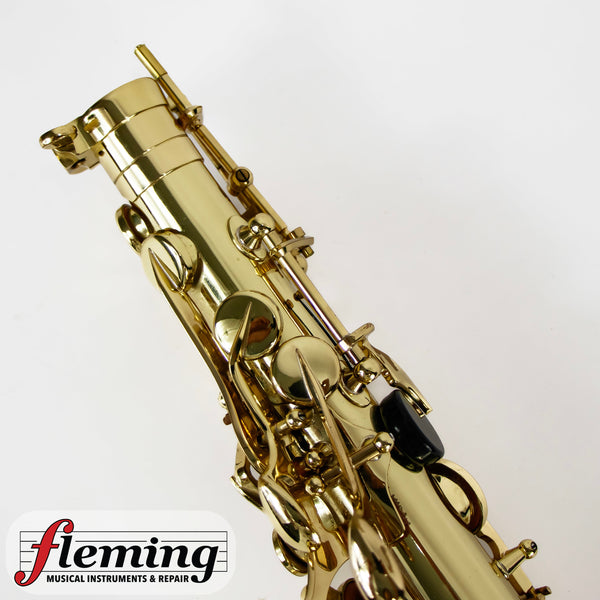 Selmer-Paris Super Action 80 Series II Alto Saxophone (2004)
