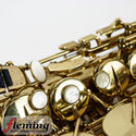 Selmer-Paris Super Action 80 Series II Alto Saxophone (2006)