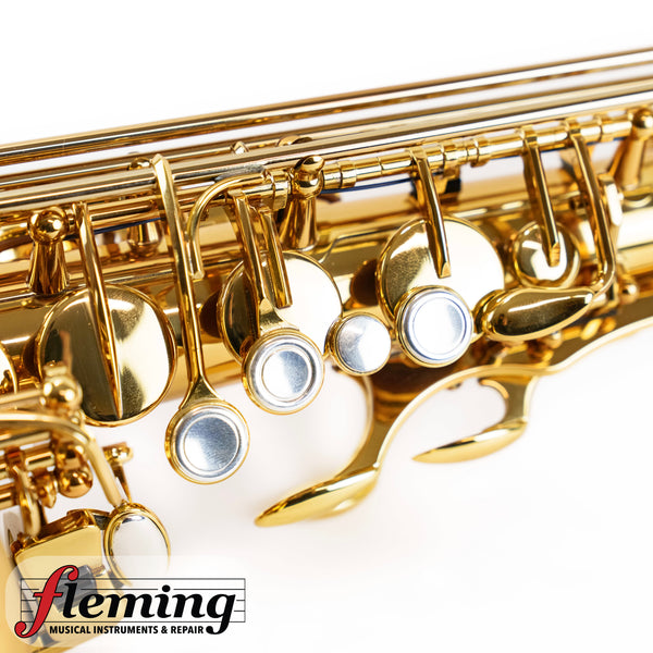 Eastman EAS850 Rue Saint-Georges Professional Alto Saxophone (Competition Demo / Open Box Model)