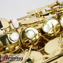 Selmer-Paris Super Action 80 Series II Alto Saxophone (2004)