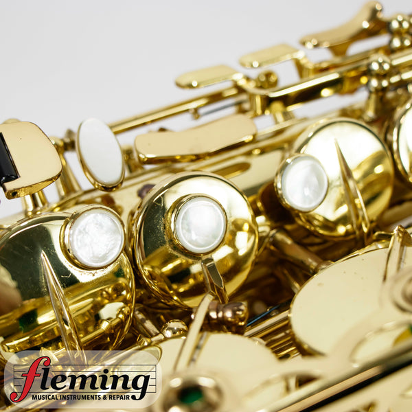 Selmer-Paris Super Action 80 Series II Alto Saxophone (2004)