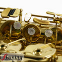 Selmer-Paris Super Action 80 Series II Professional Alto Saxophone