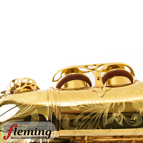 Eastman EAS850 Rue Saint-Georges Professional Alto Saxophone (Competition Demo / Open Box Model)