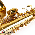 Eastman EAS850 Rue Saint-Georges Professional Alto Saxophone (Competition Demo / Open Box Model)
