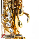 Eastman EAS850 Rue Saint-Georges Professional Alto Saxophone (Competition Demo / Open Box Model)