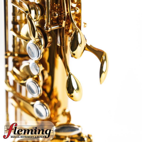 Eastman EAS850 Rue Saint-Georges Professional Alto Saxophone (Competition Demo / Open Box Model)