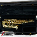 Selmer-Paris Super Action 80 Series II Alto Saxophone (2004)