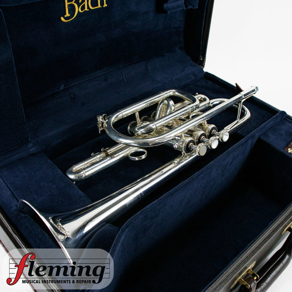 Bach Stradivarius Model 181ML #37 Bell "Long Model" Cornet - Silver Plate