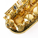 Selmer Paris 52AXOS Professional Alto Saxophone - Clear Lacquer (Competition Demo / Open Box Model)