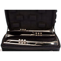 ProTec Trumpet Triple / Modular Horn Case with Wheels - ZIP™