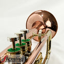 Conn USA Artist Model 10A Cornet