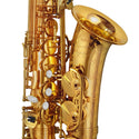 P. Mauriat MASTER-97A Masters Series Alto Saxophone, Gold Lacquer