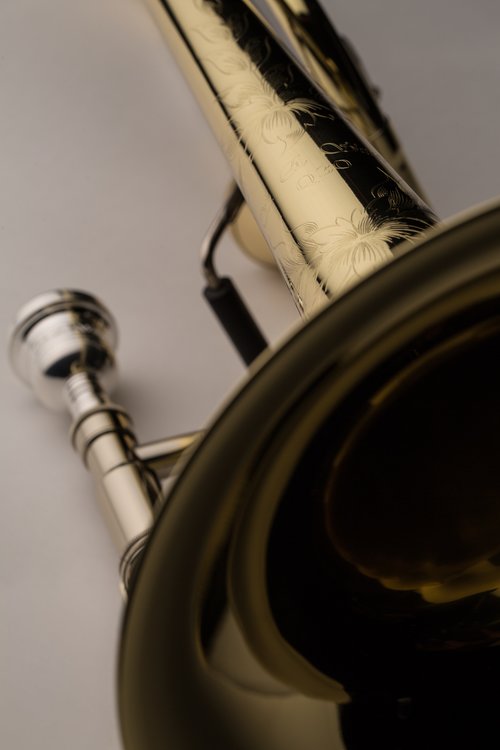 S.E. Shires Q Series TBQ30YA Tenor Trombone