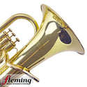 Yamaha YEP-201 Euphonium